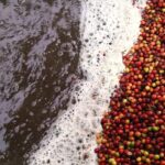 Why Your Coffee Depends on Wastewater Treatment