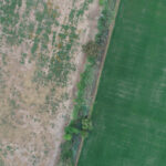 Aerial image showing the contrast between a drought-stricken landscape and a healthy, green area.
